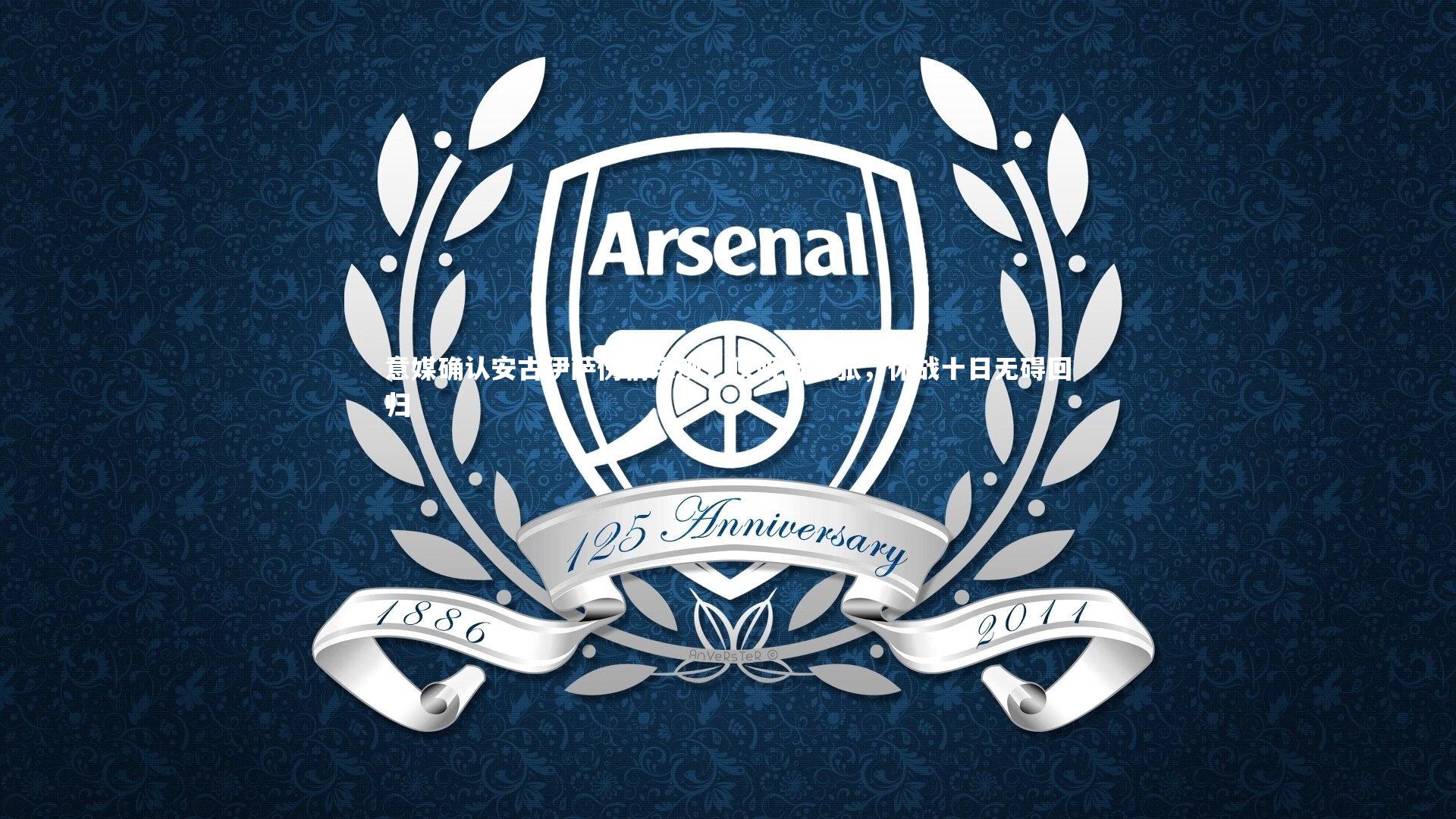 意媒确认安古伊萨伤情乐观，仅肌肉紧张，休战十日无碍回归